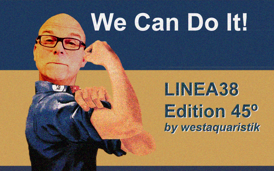 Yes We Can!  —  LINEA38 Edition 45˚