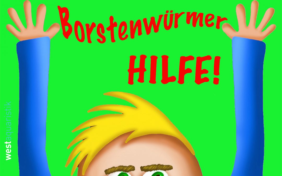 Hilfe! Ich habe Borstenwürmer!