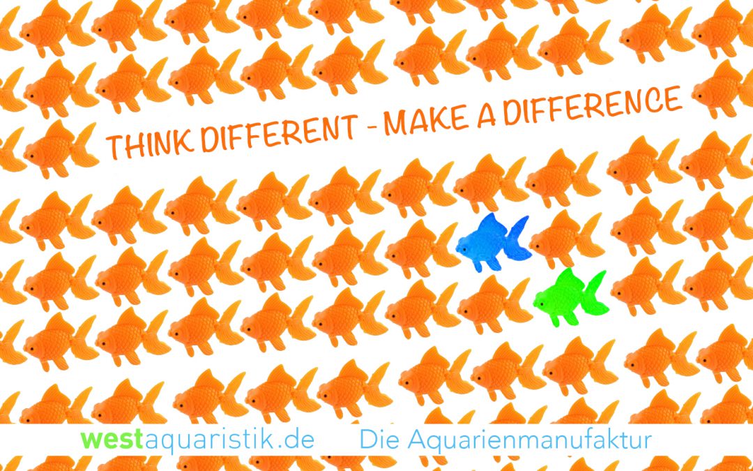 Think Different – Make a Difference!